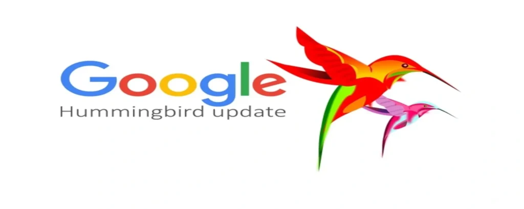 Understanding Google’s Hummingbird Update: What It Means for Search