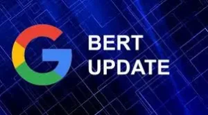 google bert algorithm