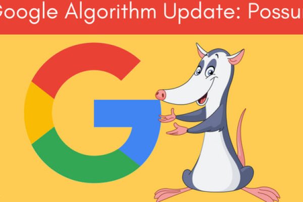 Google Possum algorithm